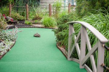 Miniature golf hole with green turf, a small rock obstacle, and brick edging next to a wooden fence and lush plants on both sides.