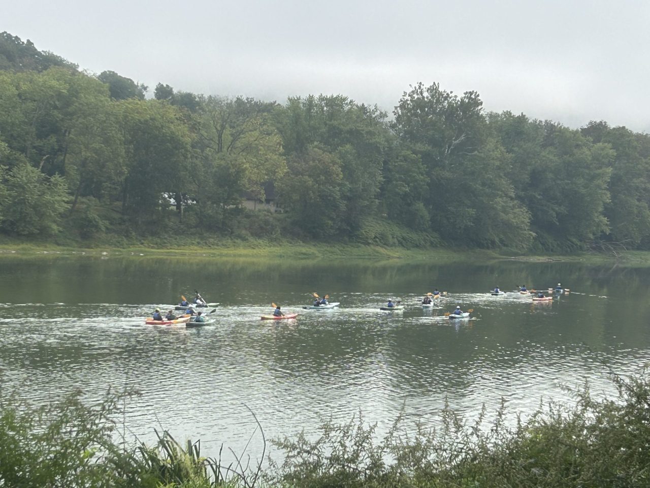Groups of kayakers paddle along a calm river with a tree-lined, green shoreline in the background.