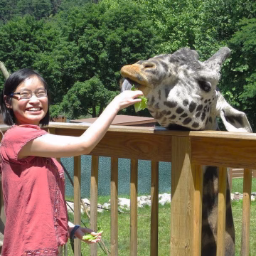 Smiling woman feeding a leafy snack to a giraffe over a wooden fence outdoors in a sunny area.