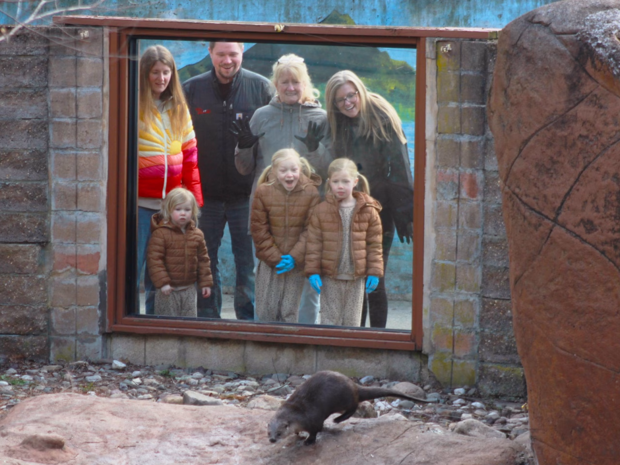 Family group posing behind a large glass viewing window, smiling, with children in brown jackets; a small dark animal walks on rocks outside the window.