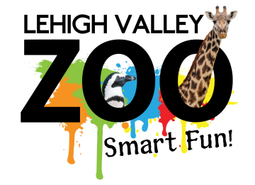 Bright multicolored paint splashes form the letters 'Zoo' with a penguin inside the zero and a giraffe extending from the right, on a black background.
